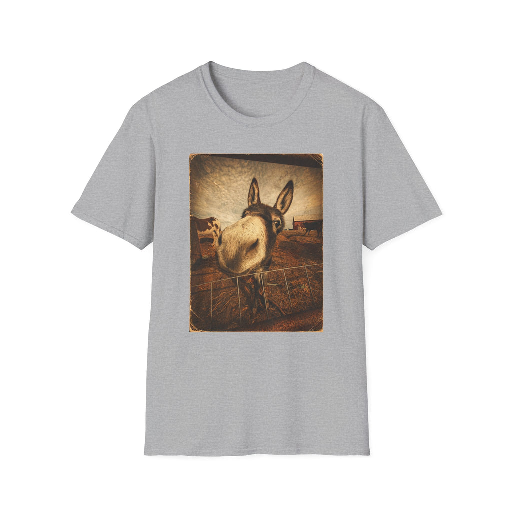 Donkey