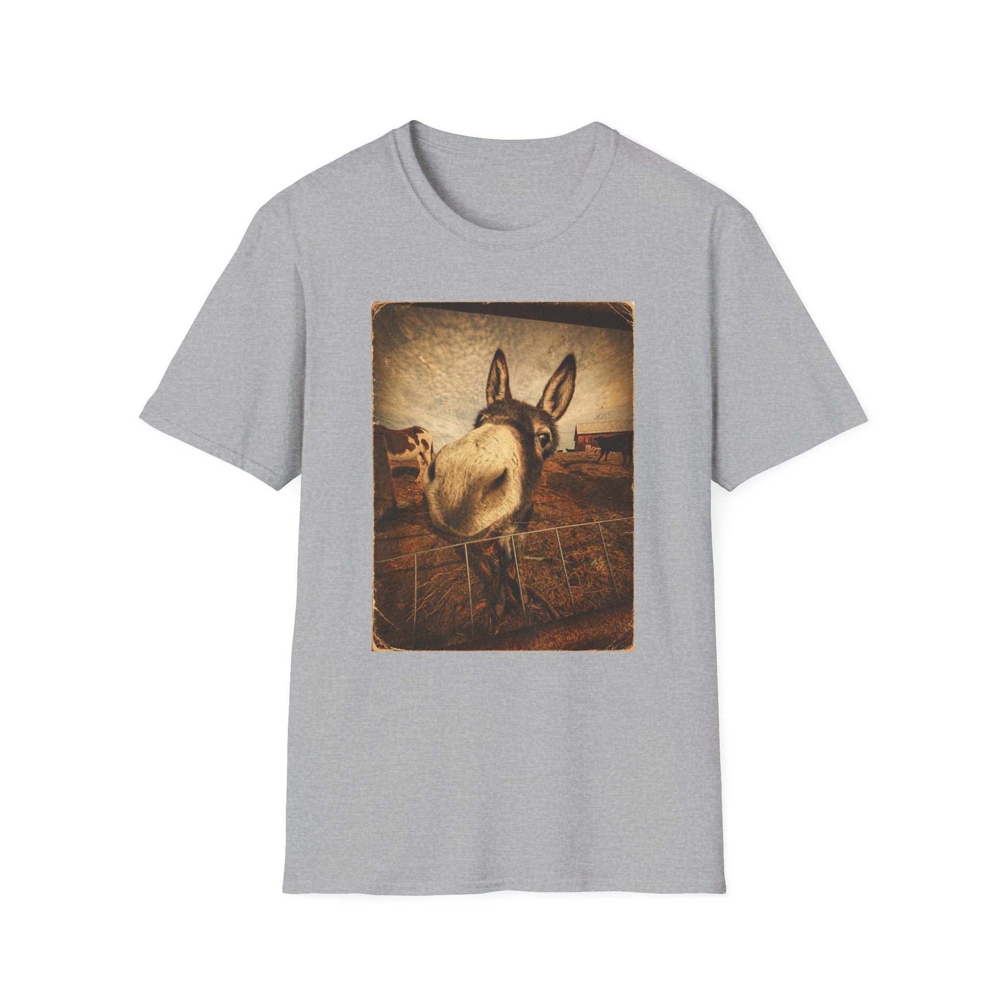 Donkey
