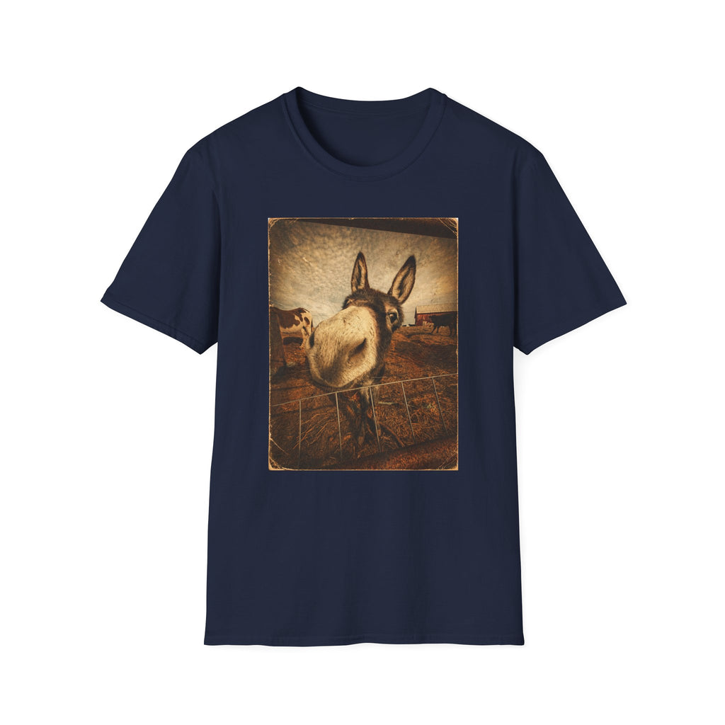 Donkey